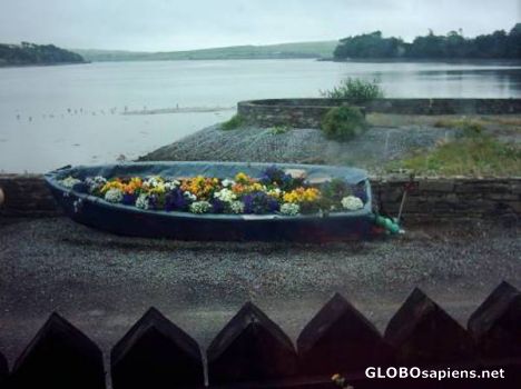 Postcard flowers at clonakilty model village cork