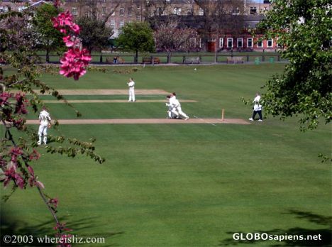 Postcard Everything's Cricket, Dublin, Ireland