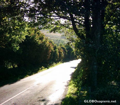 Postcard The road less travelled