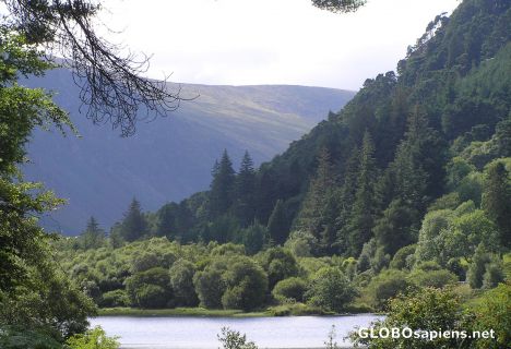 Postcard Lower Lake