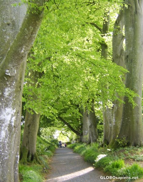 Postcard The Nun's Walk