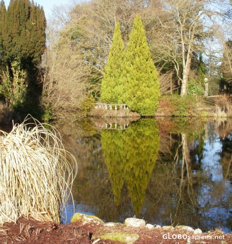 Postcard The Lake in March
