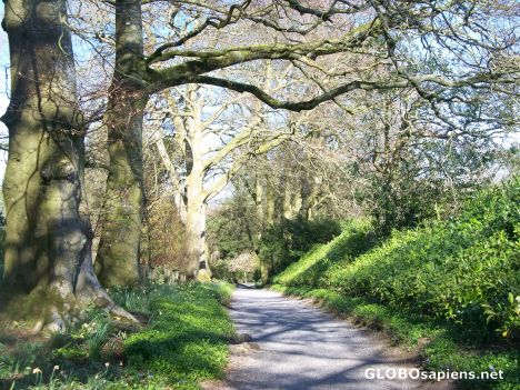 Postcard April in Altamount 1
