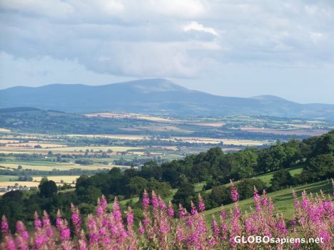 Postcard Where the Poet Oisin was reared