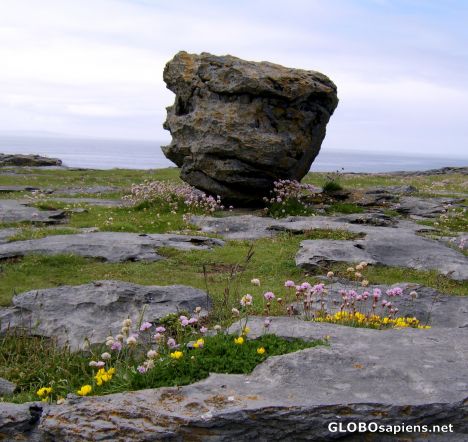Postcard Rock garden
