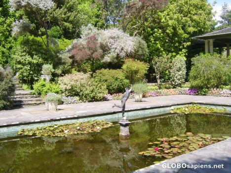 Postcard Italian Garden at Glengarrif