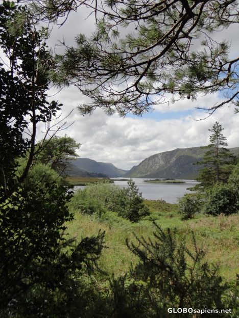 Postcard Lough Veagh View