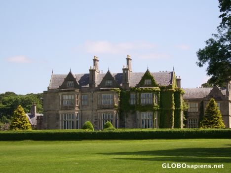 Postcard Muckross House