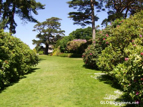 Postcard Informal gardens at Muckross House