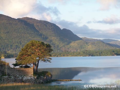 Postcard Kerry Bus Tour