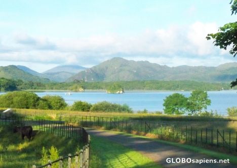 Postcard Entrance to Killarney National Park