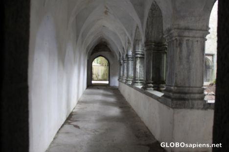 Postcard Muckross Abbey