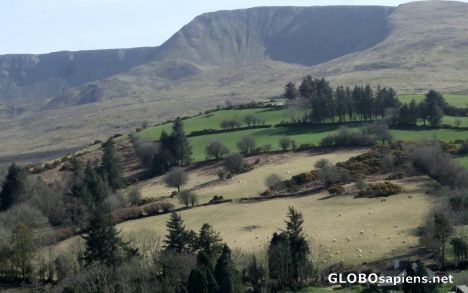 Postcard Nire Valley 3