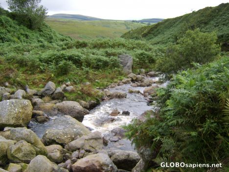 Postcard The infant stream