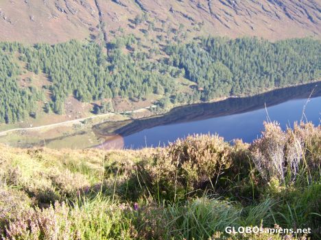 Postcard from Spink Hill
