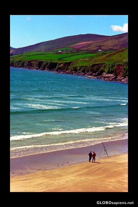 Postcard One of Ireland's finest beaches, near Ventry