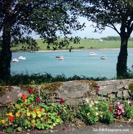 Postcard Boats at peace