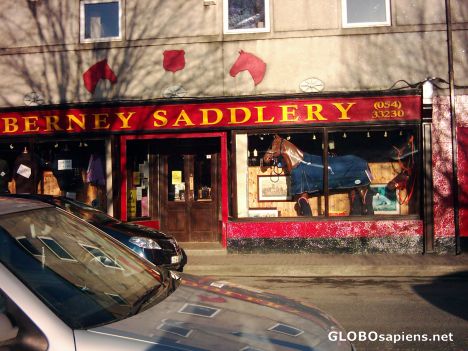 Postcard The horse in the window