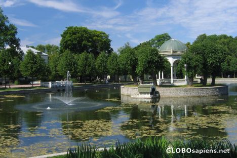 Postcard In Kadriorg Park