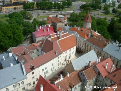 Postcard Tallinn
