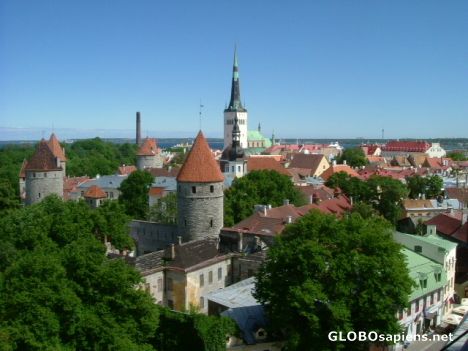 Postcard Tallinn
