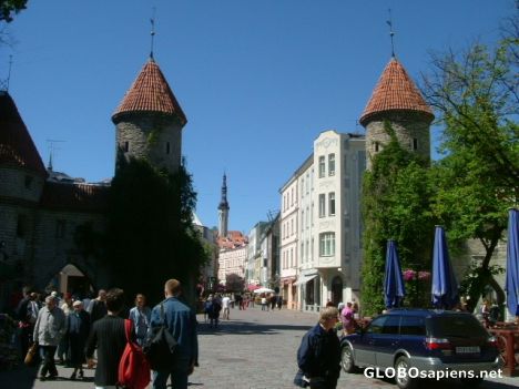 Postcard Tallinn