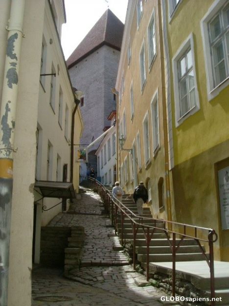 Postcard Tallinn