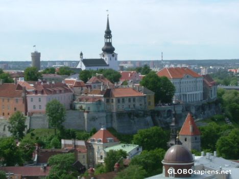 Postcard Tallinn