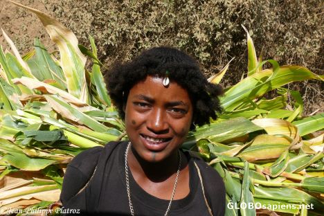 Postcard Banna woman carrying corn