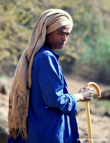 Postcard The Shepherd