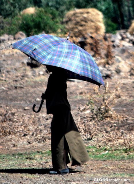 Postcard Blue umbrella