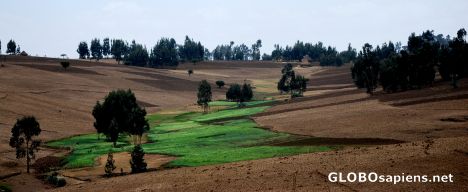 Postcard Fields for ever