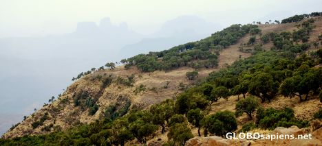 Postcard Simens National park