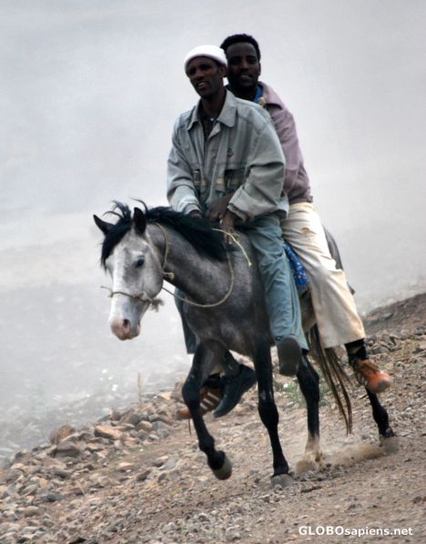 Postcard Two on a horse