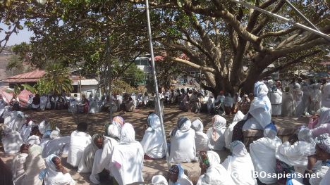 Postcard Under the big tree