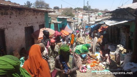 Postcard Market street in Old Harar
