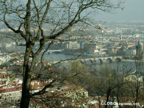 Postcard Views over the Charles Bridge