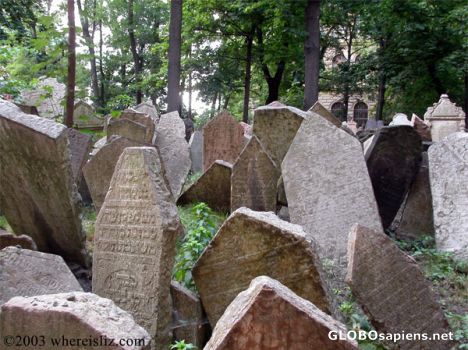 Postcard Jewish Cemetary, Prague, Czech Republic
