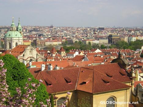 Postcard Looking out over Prague 1
