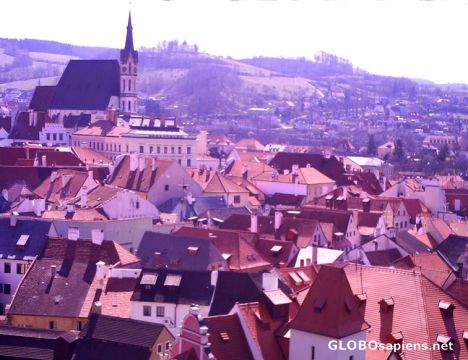Postcard Panorama 4o8 SE