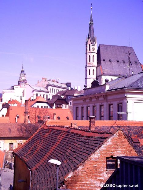 Postcard Old Town 14o16: Rooves