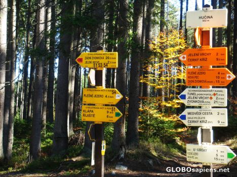 Just follow the Sign