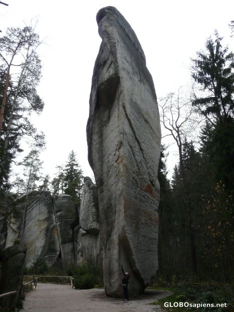 Postcard Reaching for the top