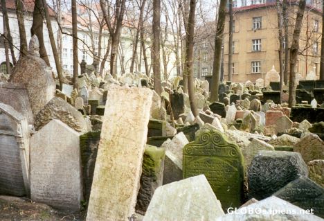 Postcard The Jewish Cemetary