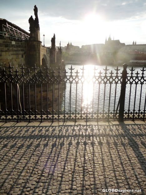 Postcard Shadows