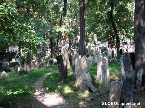 Postcard Jewish Museum - Jewish Cemetery