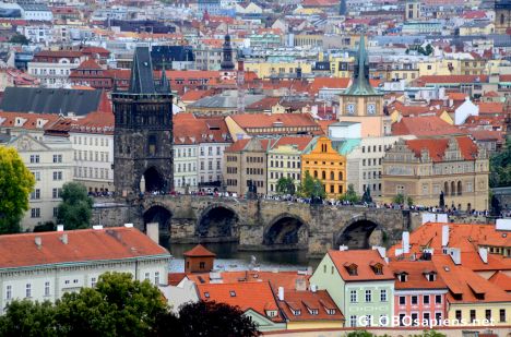 Postcard Prague (CZ) - pigeon's view of the old town