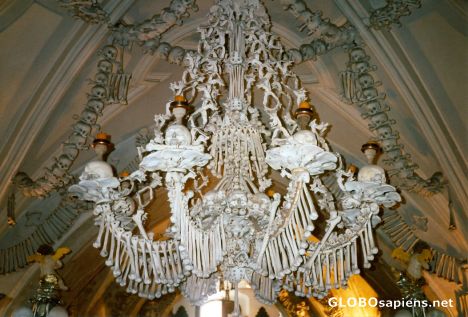 Bone chandelier