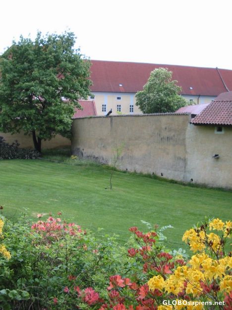 Postcard Czech Rep : Trebon