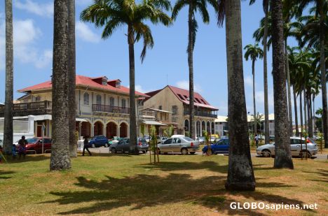 Postcard Cayenne (GF) - in the main palms' square